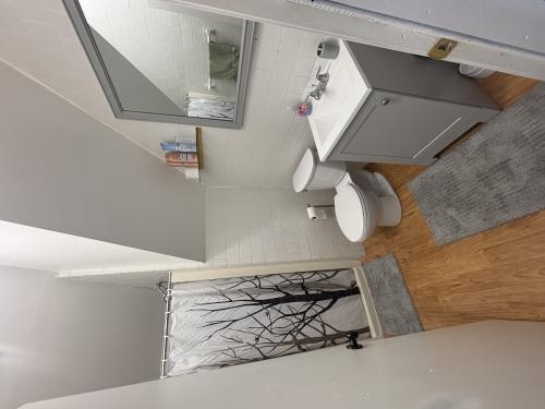 Shared bathroom floor